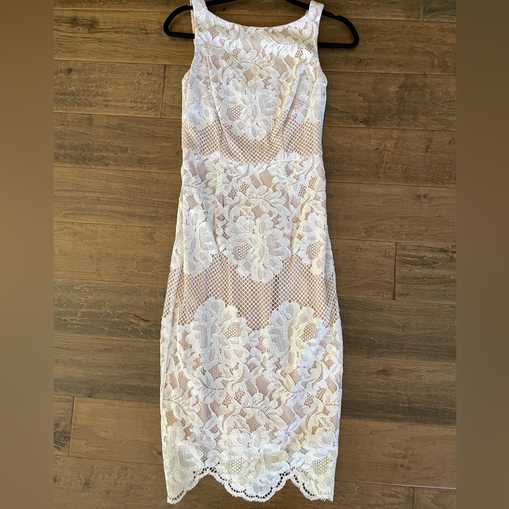 Coast lace pencil dress
